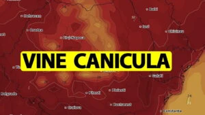 caniculă
