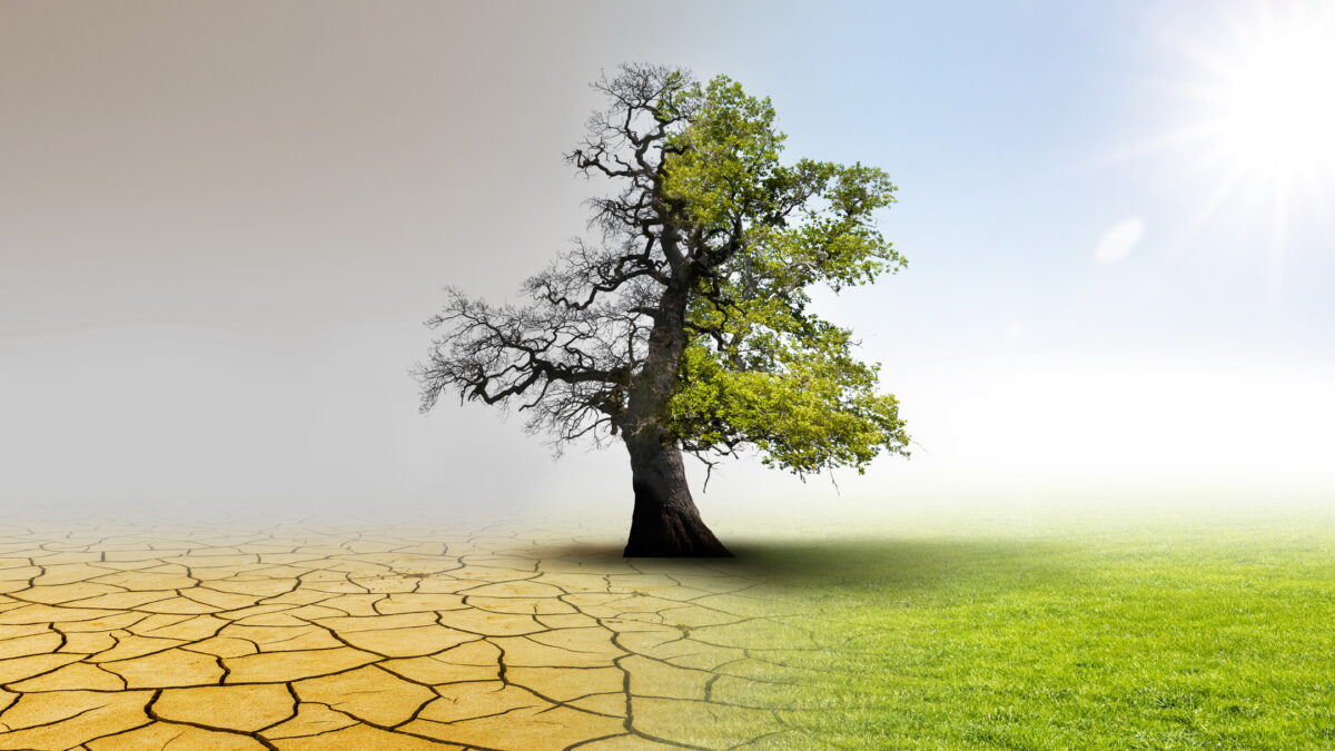 Afirmația că schimbările climatice nu există are un preț uriaș. Cine îl plătește