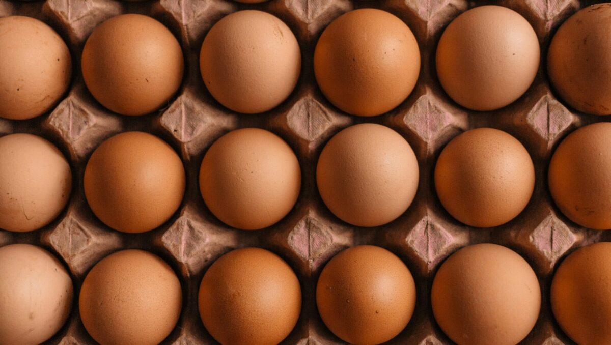 Un student la medicină a consumat 720 de ouă în 28 de zile ca experiment metabolic. Ce a pățit