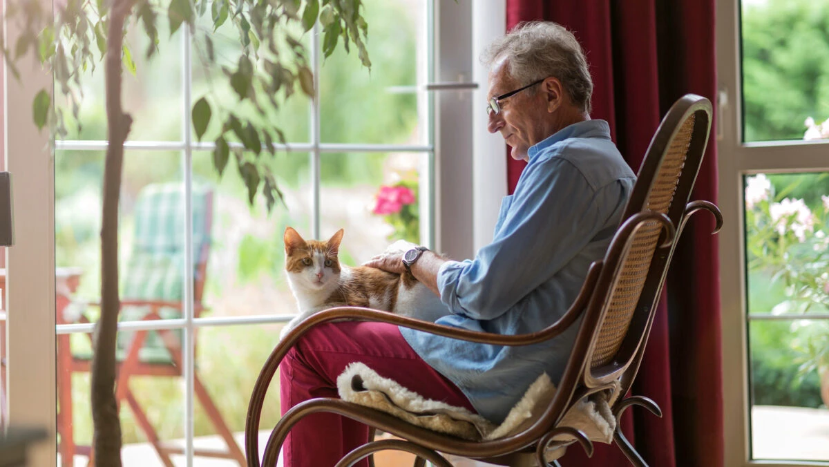 Pensionarii care primesc bani pe lângă pensie. Trebuie să faceți o solicitare către stat. Măsura este deja în vigoare