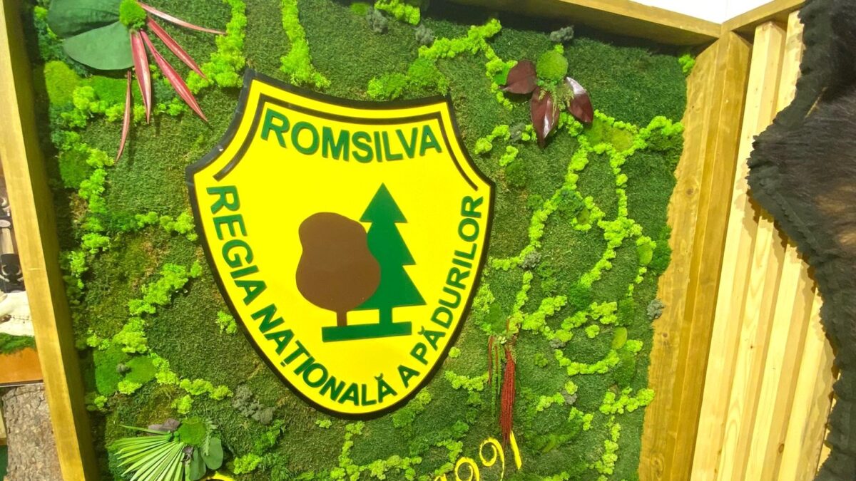 Romsilva a achiziționat peste 4.000 de hectare de pădure. Este cea mai mare achiziție de pădure efectuată în numele statului român